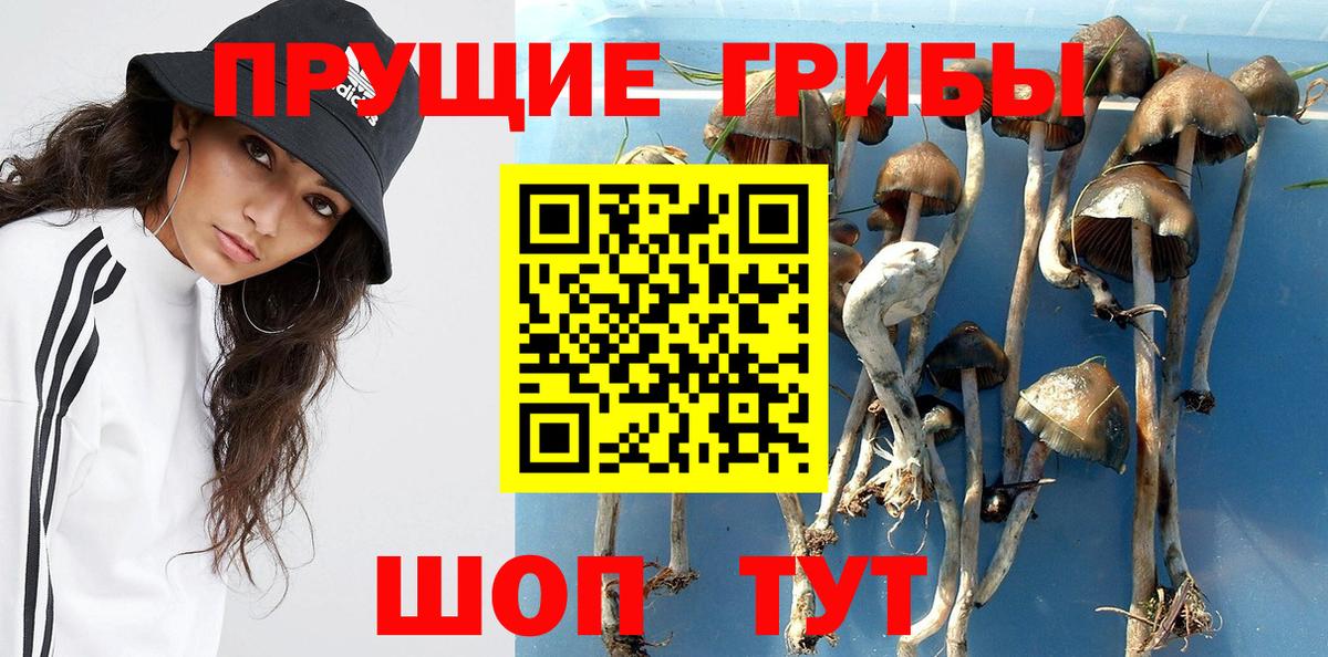 Псилоцибиновые грибы прущие грибы Свободный