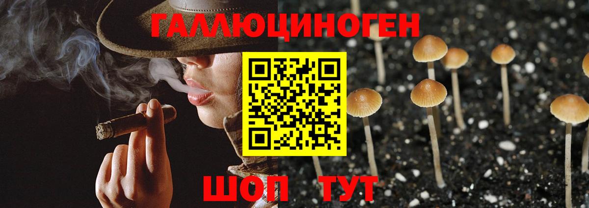 Псилоцибиновые грибы прущие грибы  Псилоцибиновые грибы мухоморы  Вход с VPN  Свободный 
